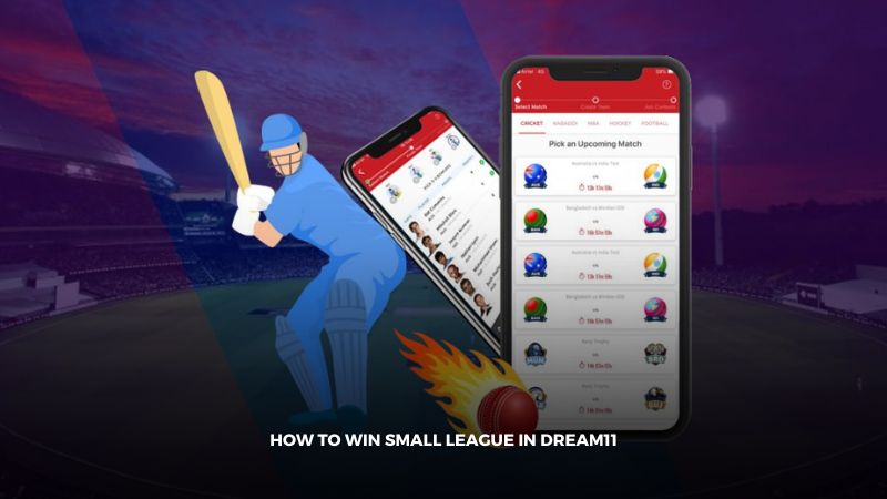 how to win small league in dream11